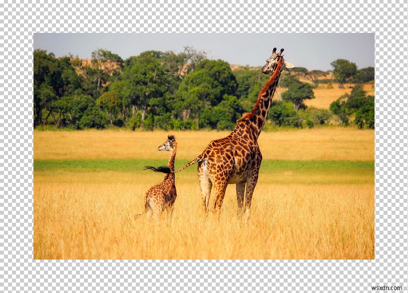 วิธีเพิ่มเส้นขอบใน Photoshop 