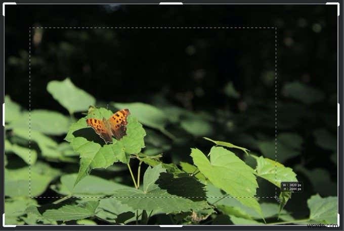 วิธีการครอบตัดใน Photoshop 