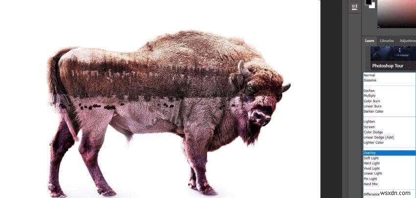 Cách thay đổi kích thước, kết hợp và hợp nhất các lớp trong Photoshop 