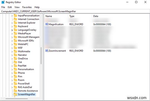 विंडोज 11 पर मैग्निफायर टूल का उपयोग कैसे करें 