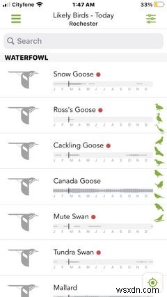 परफेक्ट कैम्पिंग गेटअवे के लिए 10 iPhone ऐप्स 