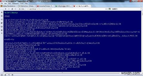 Hướng dẫn của bạn đến Web quốc tế