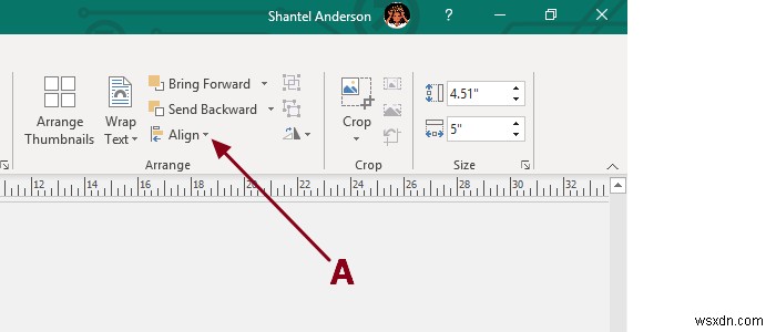 เพิ่ม ย้าย และแก้ไขรูปภาพหรือรูปภาพใน Microsoft Publisher 