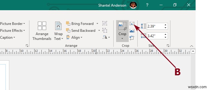 เพิ่ม ย้าย และแก้ไขรูปภาพหรือรูปภาพใน Microsoft Publisher 