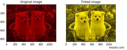 Làm cách nào để thêm một màu cụ thể vào hình ảnh thang độ xám trong scikit-learning bằng Python? 