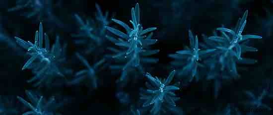 20 วอลเปเปอร์สำหรับโหมดมืดบนจอภาพแบบกว้างพิเศษ