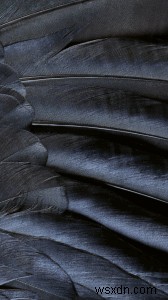 ดาวน์โหลดเลย:วอลเปเปอร์ iOS 9 