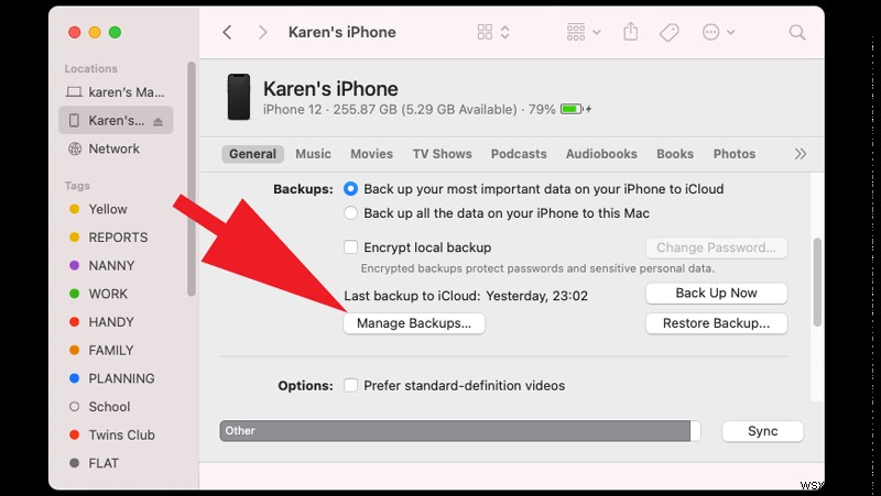 मैक पर सिस्टम स्टोरेज को कैसे डिलीट करें 