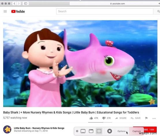 मैक पर रिकॉर्ड कैसे स्क्रीन करें 