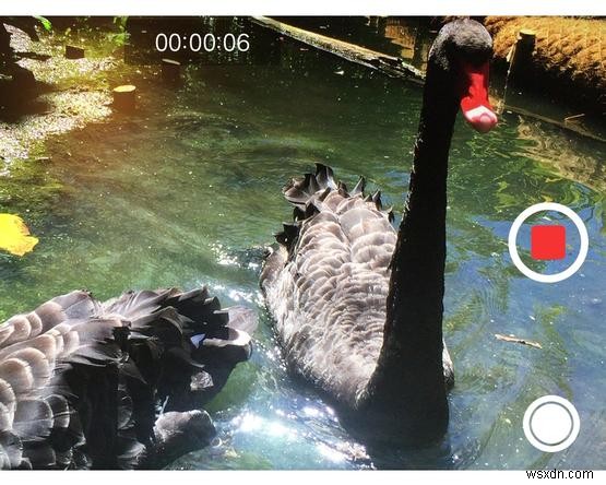 Mẹo và thủ thuật iPhone 