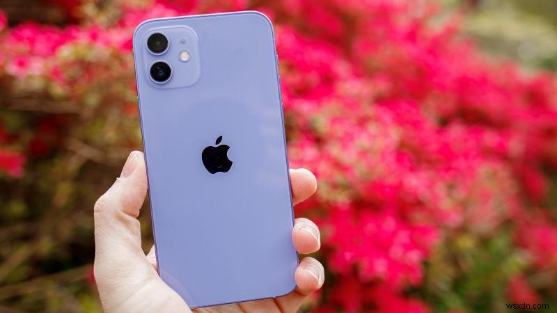 कैसे पहचानें कि आपको कौन सा iPhone मॉडल मिला है 