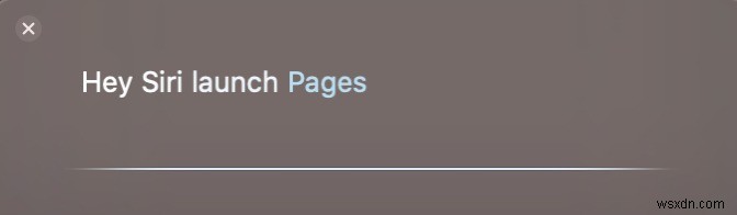 Những điều đáng ngạc nhiên nhất bạn có thể làm với Siri trên Mac 
