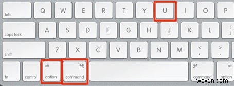 Cách xem mã nguồn của trang web trong Safari trên máy Mac 