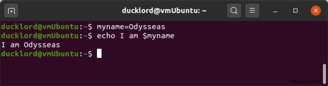 ตัวละครพิเศษของ Bash ที่คุณควรรู้ 
