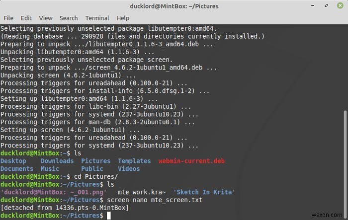 Cách đa nhiệm trong Linux Terminal với màn hình 