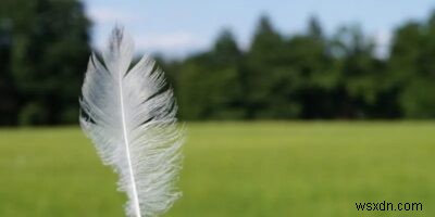 7 เบราว์เซอร์น้ำหนักเบาสำหรับ Windows 