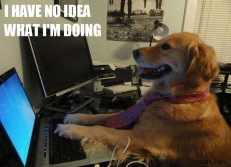 เรื่องราวเบื้องหลัง .unicorn, .ninja และส่วนขยายโดเมนที่แปลกประหลาดอื่นๆ 