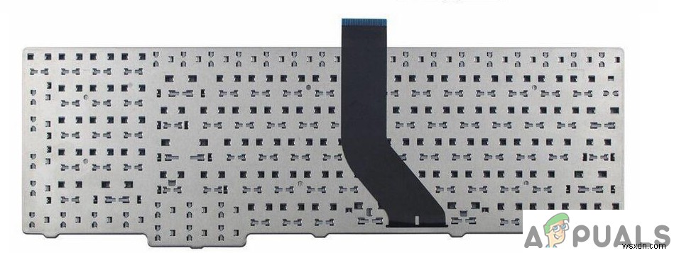 วิธีแก้ไขคีย์บอร์ดแบ็คไลท์ไม่ทำงานบน Mac/Windows 