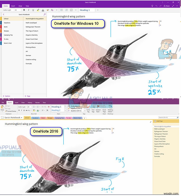 OneNote के बजाय OneNote 2016 कैसे स्थापित करें 
