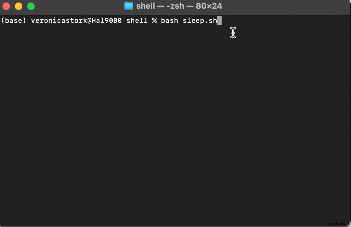 Bash Sleep - Cách tạo tập lệnh Shell Chờ N giây (Lệnh ví dụ) 