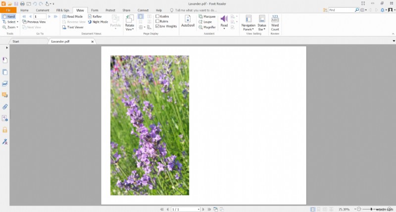 วิธีการแปลง HEIC เป็น PDF ฟรี