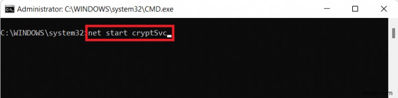 উইন্ডোজ 11 আপডেট ত্রুটির সম্মুখীন হওয়া ঠিক করুন 
