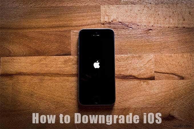 วิธีการดาวน์เกรด iOS