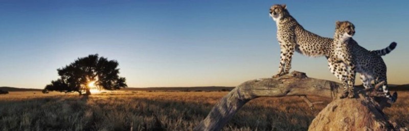 ปลั๊กอินแคช WordPress ที่ดีที่สุดสำหรับการปรับปรุงความเร็วเว็บไซต์