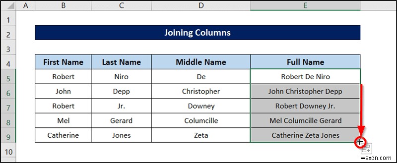 19 एक्सेल में व्यावहारिक डेटा सफाई तकनीक