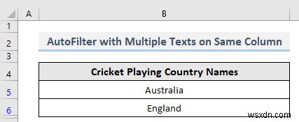 VBA เพื่อกรองอัตโนมัติพร้อมหลายเกณฑ์ในฟิลด์เดียวกันใน Excel (4 วิธี)