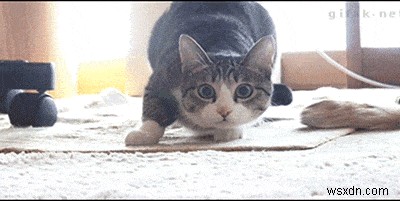 วิธีแปลงวิดีโอเป็น GIF ลองใช้ตัวแปลง GIF ที่ดีที่สุดสำหรับ Windows!