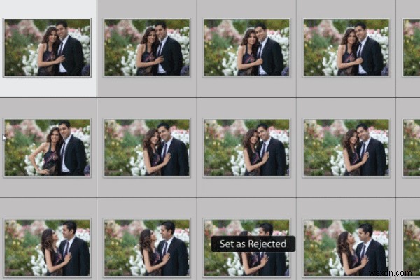 Mẹo và Thủ thuật Chọn lọc Tốt nhất trong Nhiếp ảnh